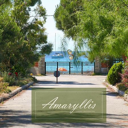 Amaryllis Summer Maisonettes بوسيدي الغرفة الصورة