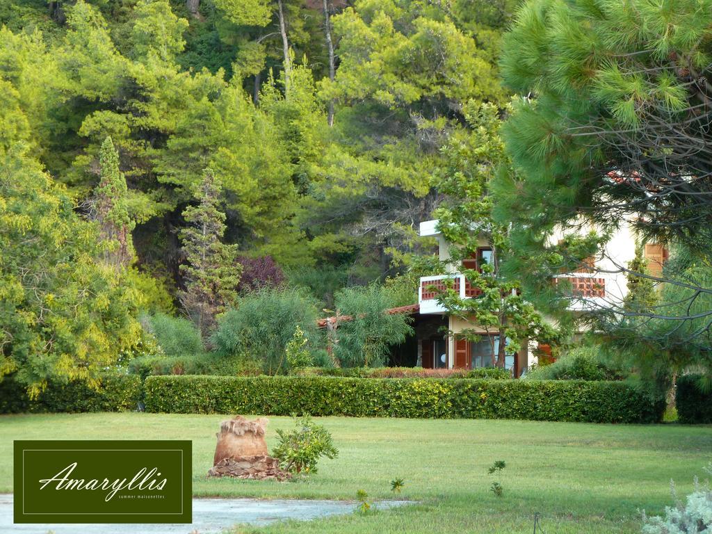 Amaryllis Summer Maisonettes بوسيدي الغرفة الصورة