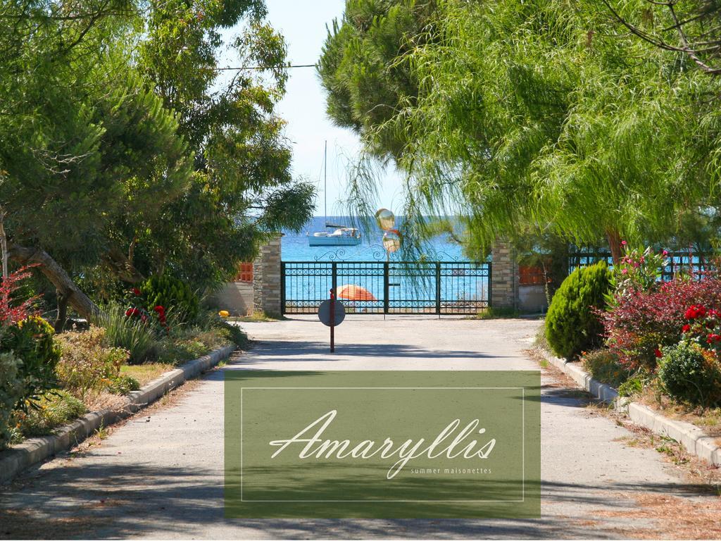Amaryllis Summer Maisonettes بوسيدي الغرفة الصورة